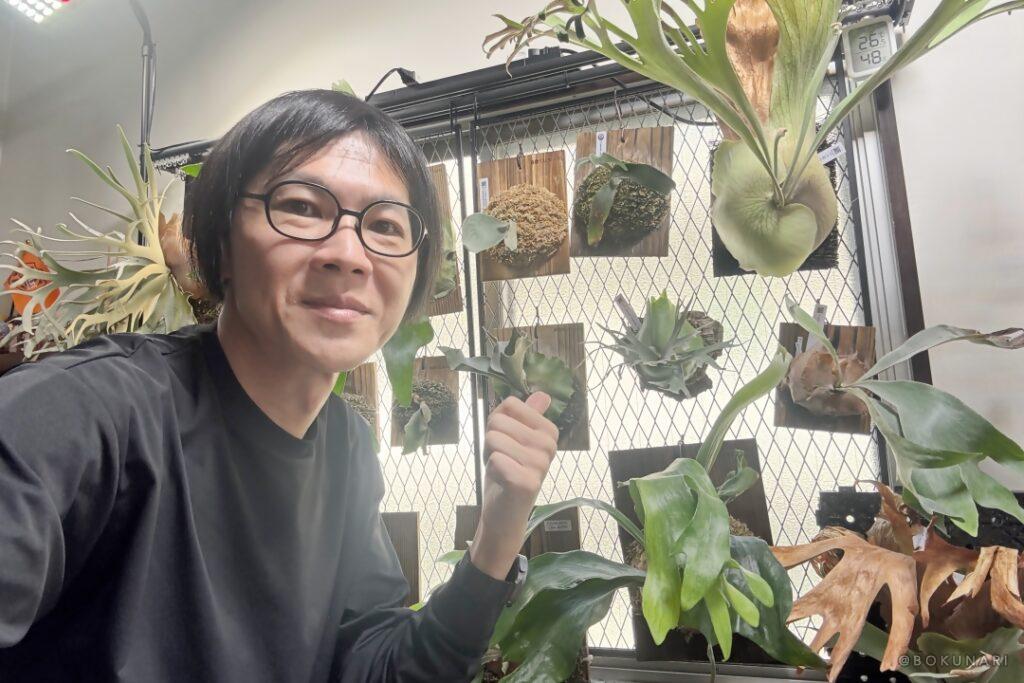 芸能界のビカクシダ愛好家・そのまんま美川