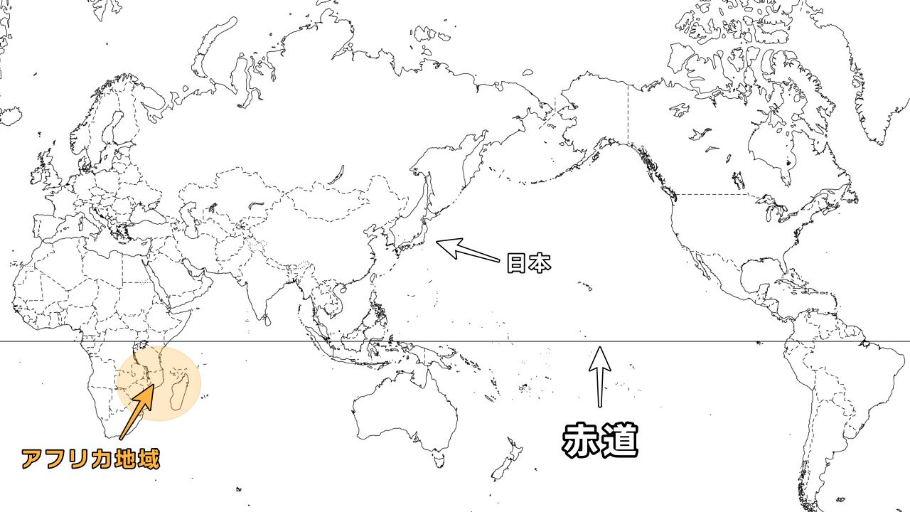 アフリカ地域に自生するビカクシダの原種は6種類