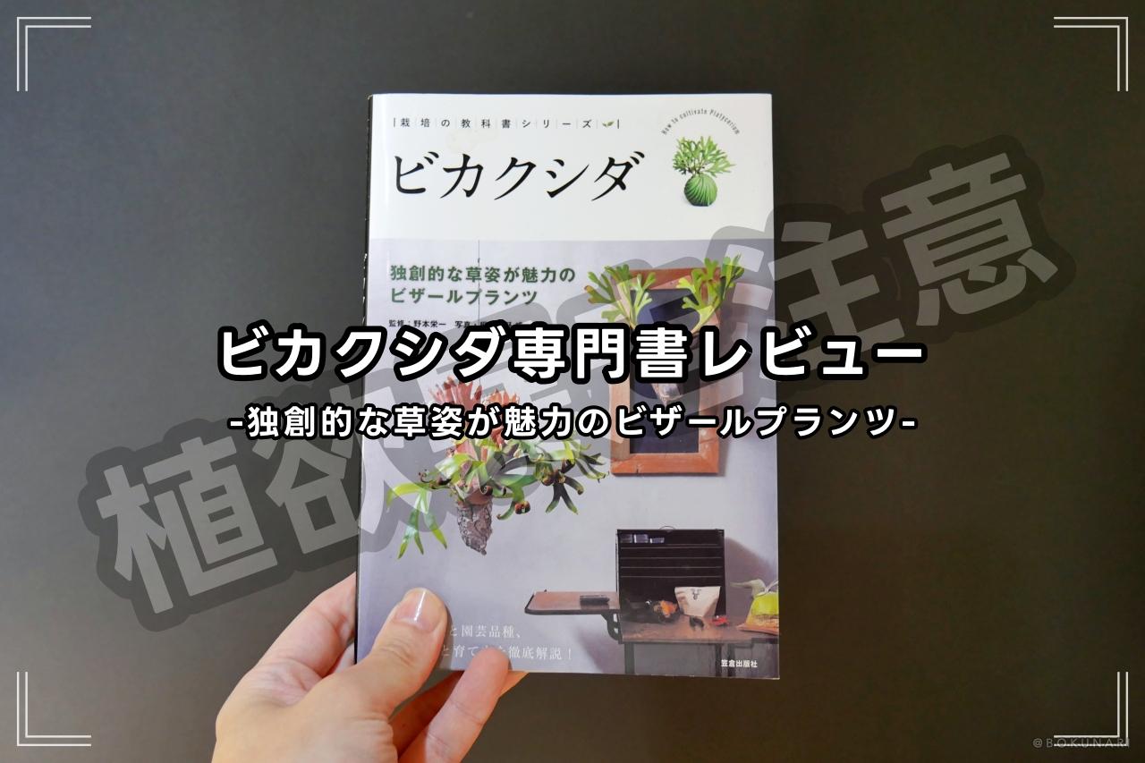 book-bikakushida-ogp.jpg