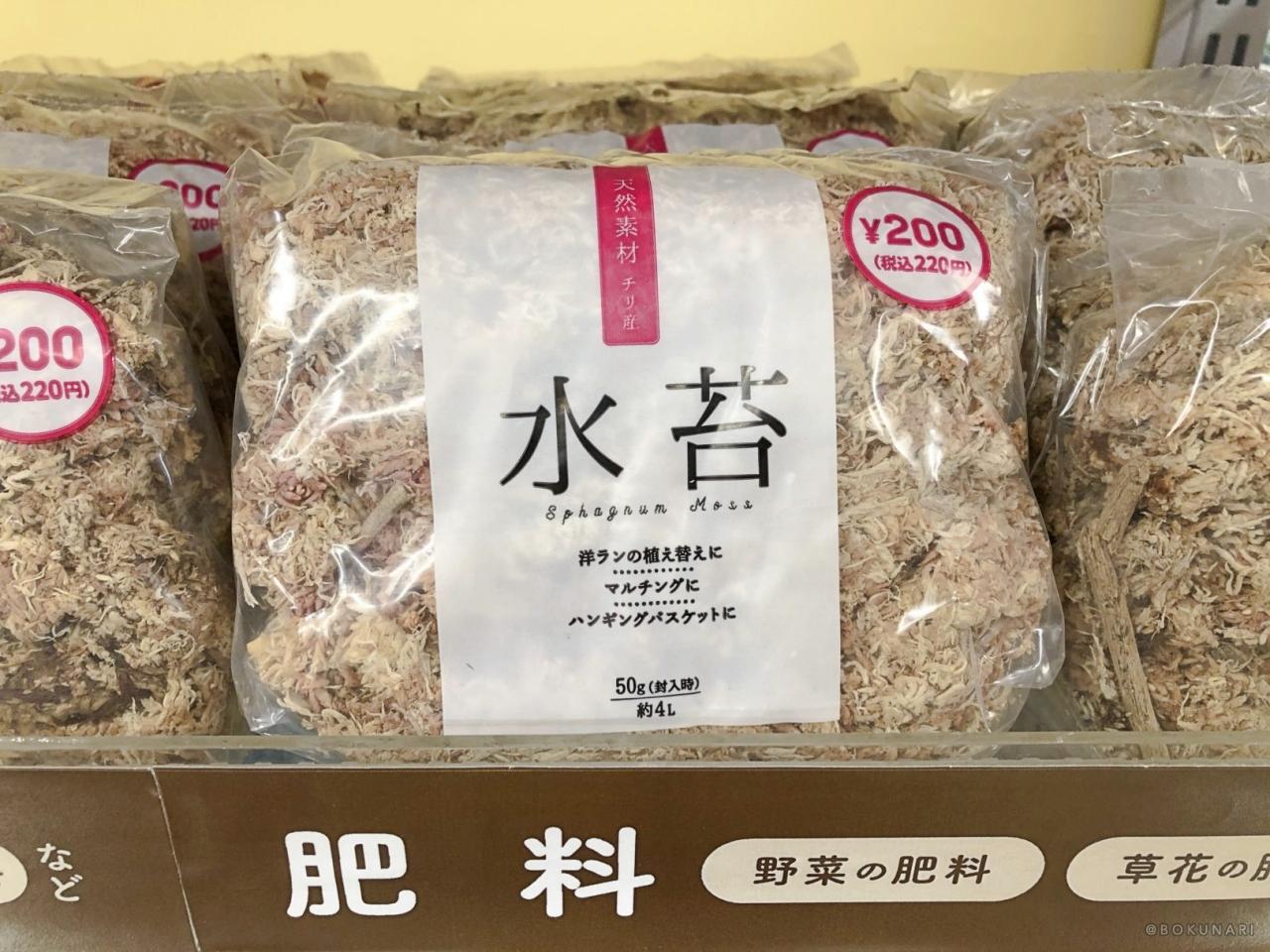 ビカクシダの板付に使う水苔の選び方