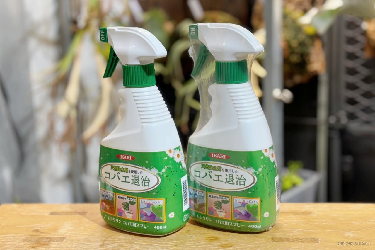 【ムシクリン コバエ用スプレー】ビカクシダの屋内管理の「コバエ駆除」に使える殺虫剤レビュー