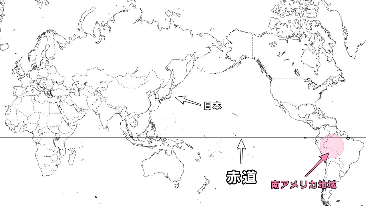 南アメリカ地域に自生するビカクシダの原種は1種類