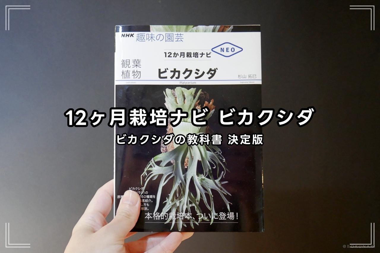 book-nhk-syuminoengei-