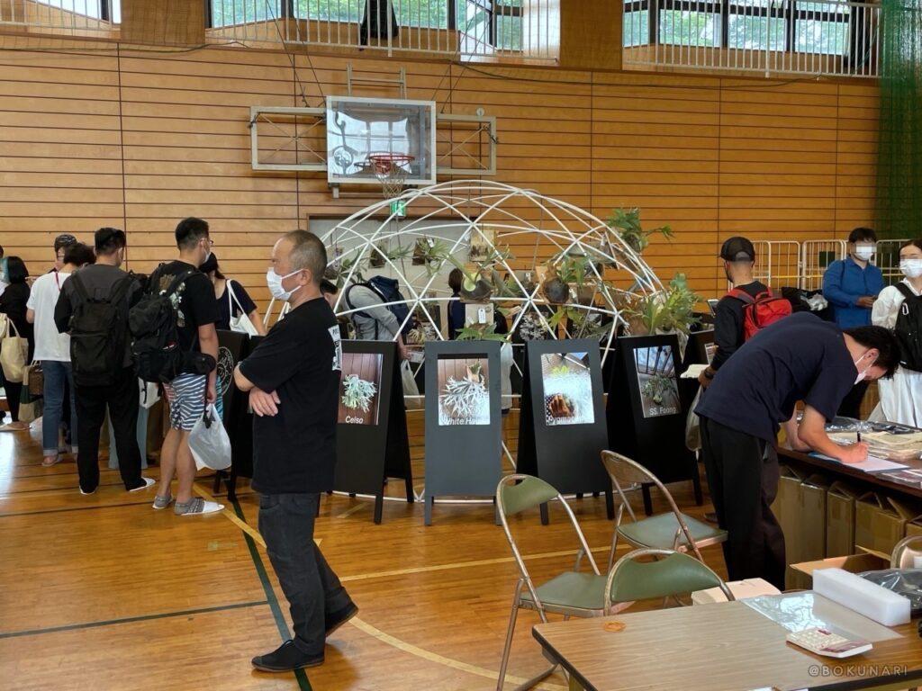 緑魂祭 vol.2 Taro Kidoさんのブース