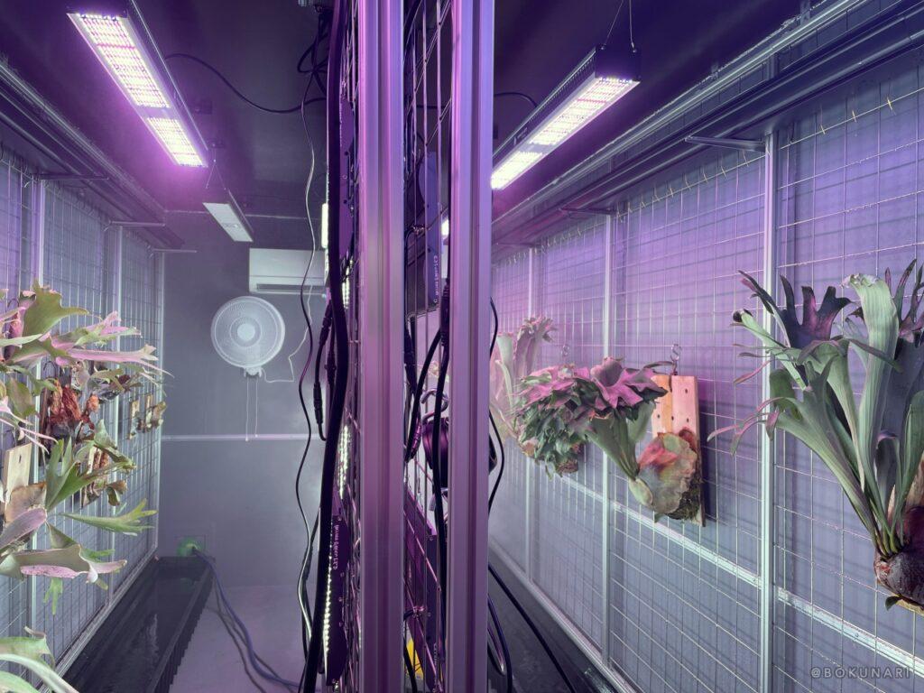 ビカクシダの栽培をオートメーション化した設備「UMOFA(Urban Mobile Farm)」
