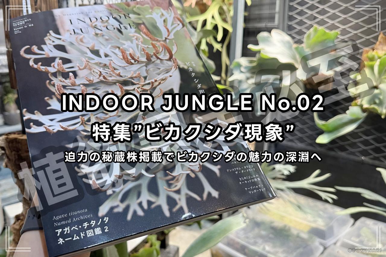 レビュー】INDOOR JUNGLE（インドアジャングル） No.02 特集