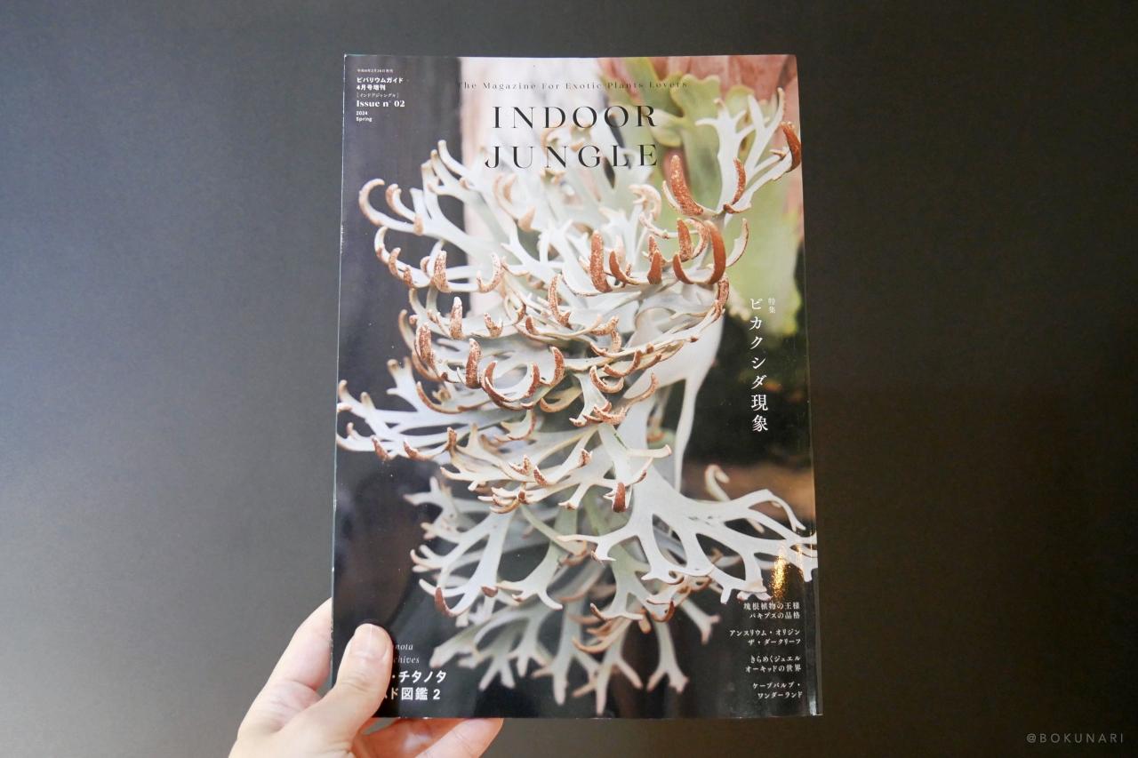 INDOOR JUNGLE No.02 特集”ビカクシダ現象”迫力の秘蔵株掲載で魅力の深淵へ