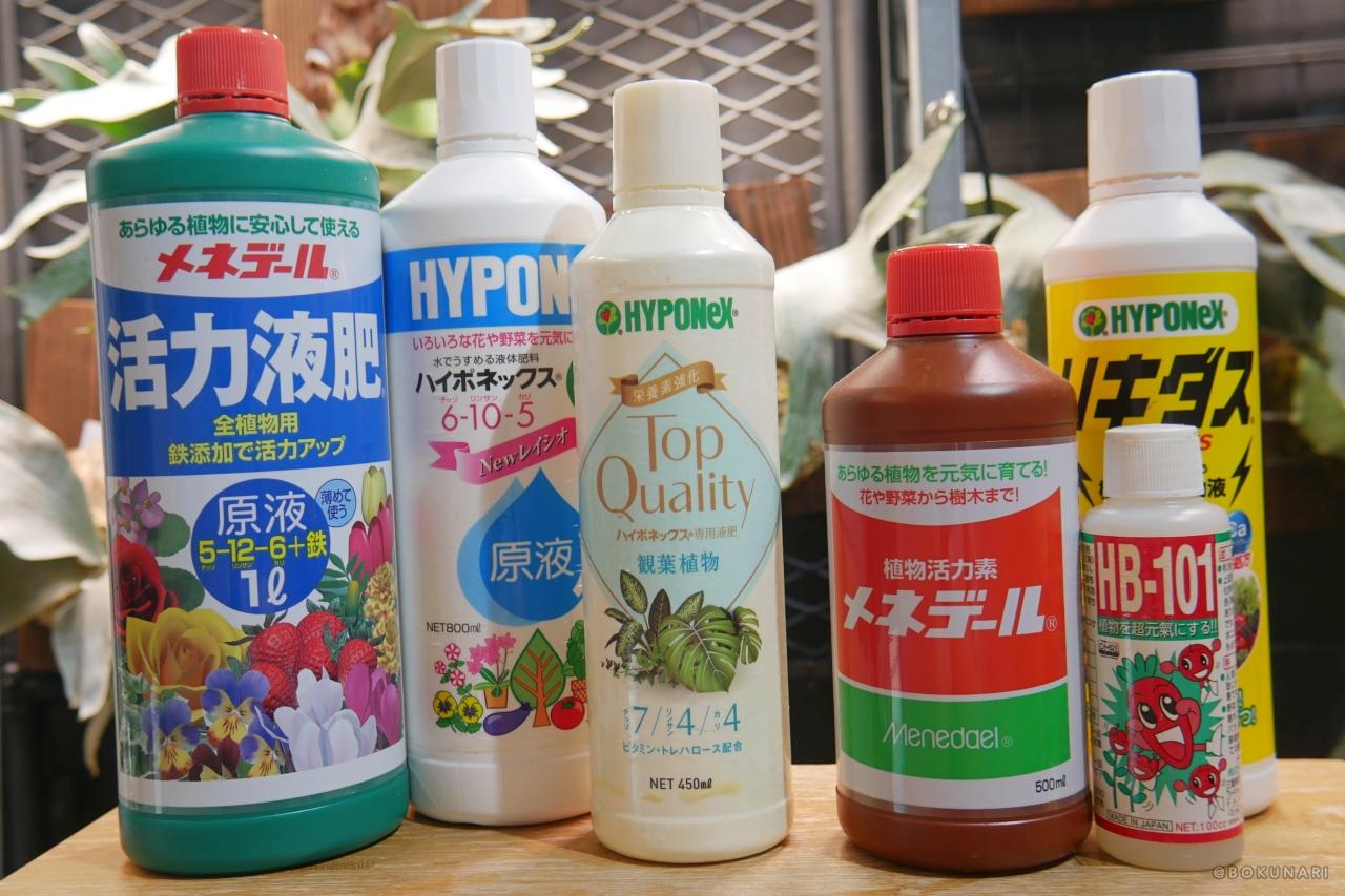 ビカクシダ栽培における【肥料】と【活力剤】の役割の違いと与えるタイミング