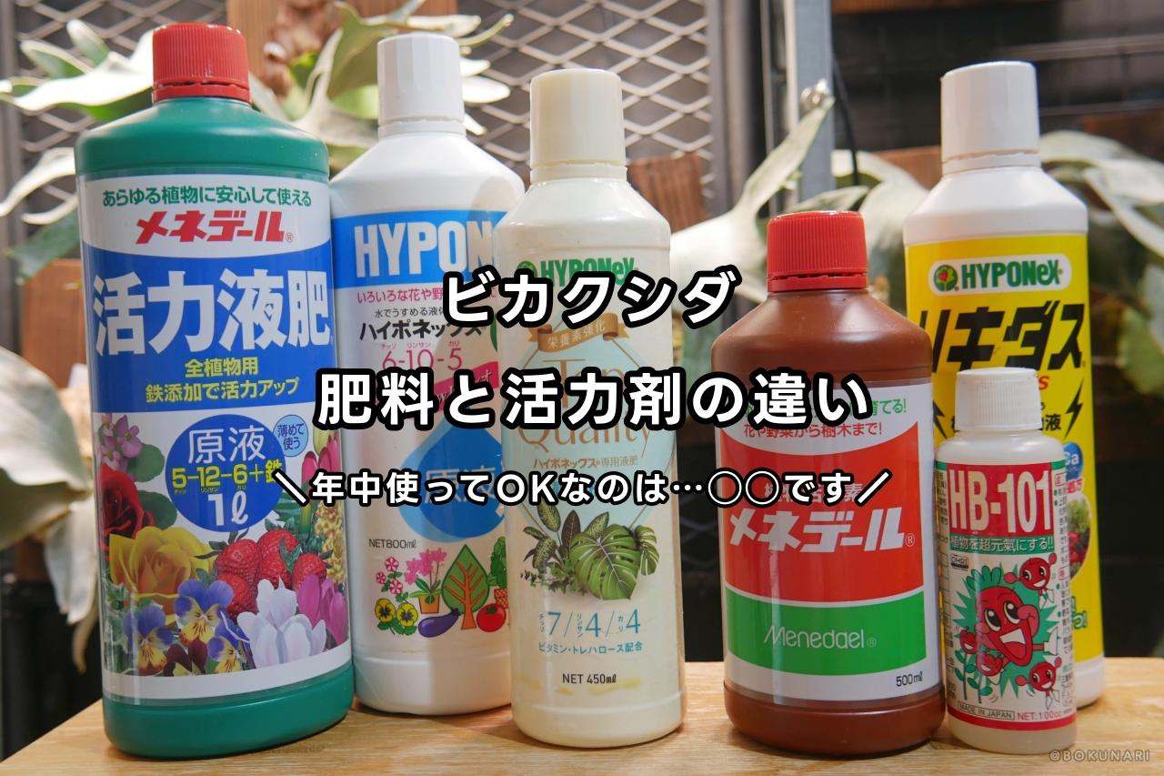 ビカクシダ】を育てる際に知っておきたい「肥料」と「活力剤」の違い