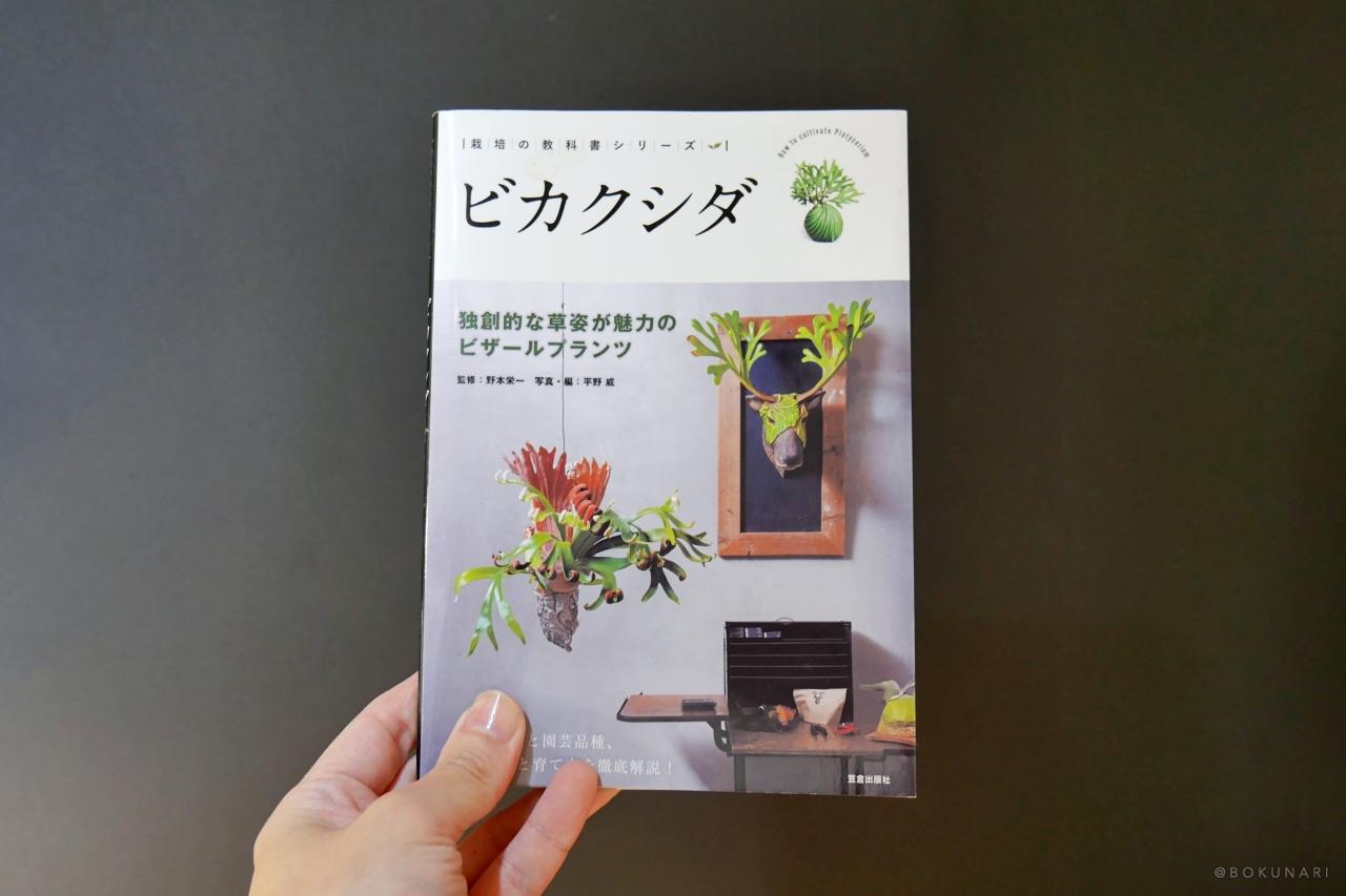 【ビカクシダ専門書】発売！ビカクシダ -独創的な草姿が魅力のビザールプランツ- 【レビュー】