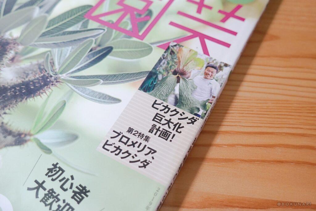ビカクシダ(コウモリラン)に興味を持ったらおさえておきたい基本的な情報が特集されている一冊。