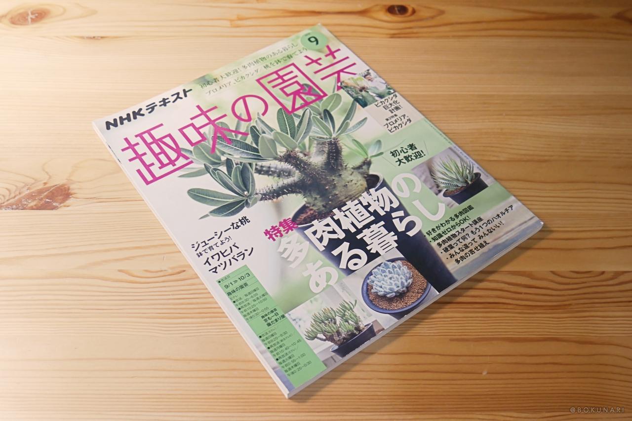 ビカクシダの育て方が特集【趣味の園芸2019年9月号】レビュー