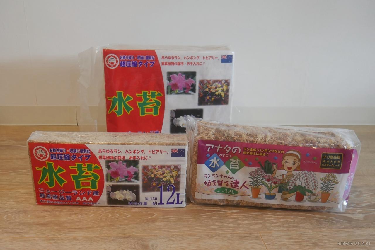 【フワフワの水苔】ビカクシダの板付けに必須！【乾燥水苔の戻し方】