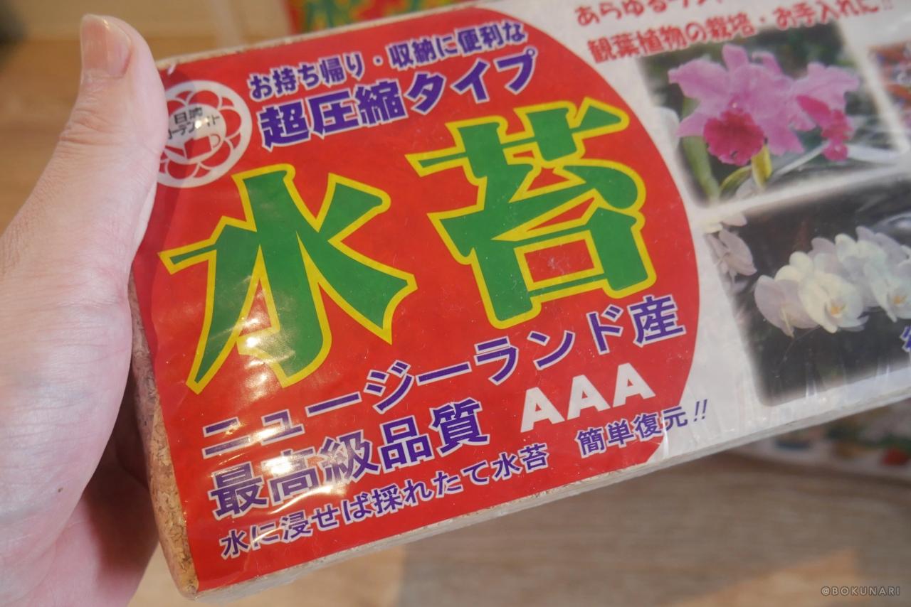 【フワフワの水苔】ビカクシダの板付けに必須！【乾燥水苔の戻し方】