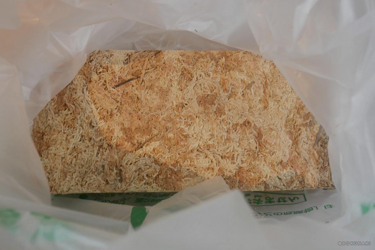 【フワフワの水苔】ビカクシダの板付けに必須！【乾燥水苔の戻し方】
