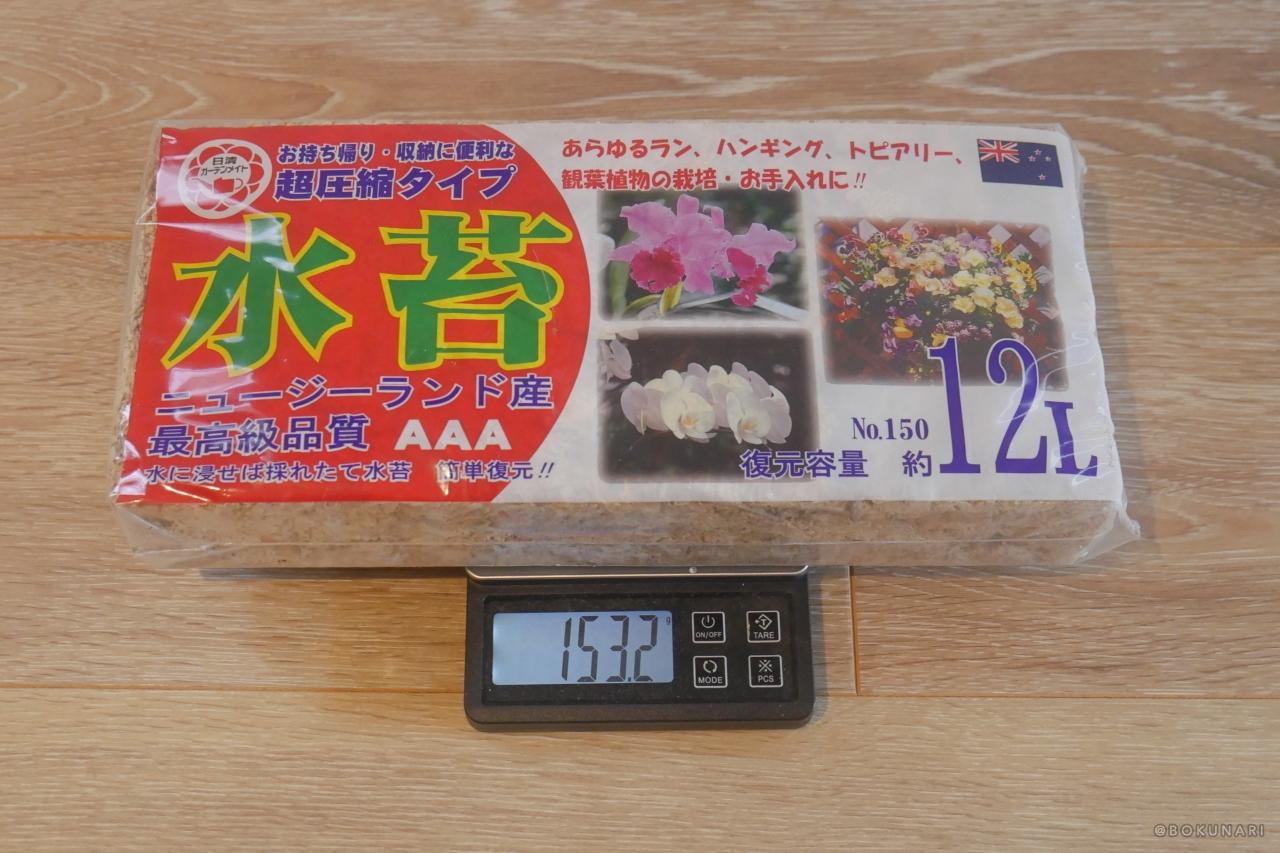 【フワフワの水苔】ビカクシダの板付けに必須!【乾燥水苔の戻し方】
