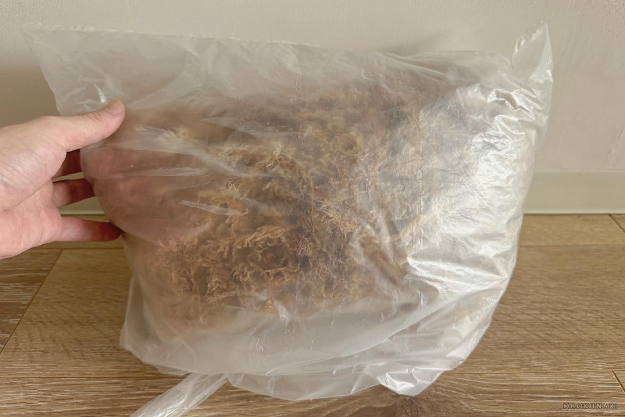 【フワフワの水苔】ビカクシダの板付けに必須!【乾燥水苔の戻し方】