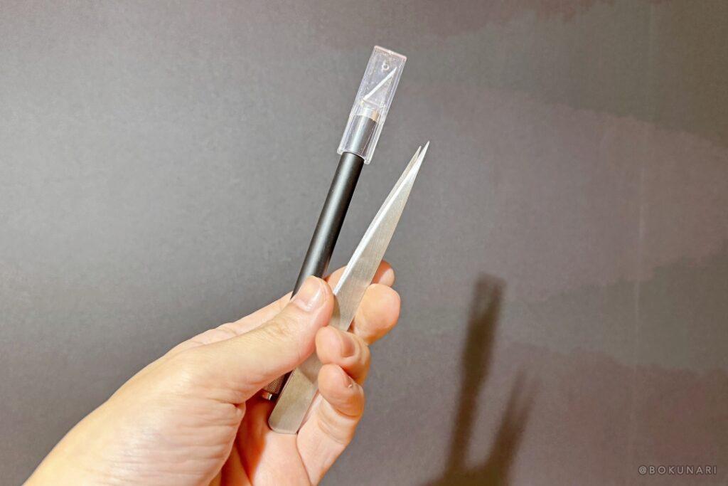 ビカクシダの成長点が埋もれてしまった時の解決方法