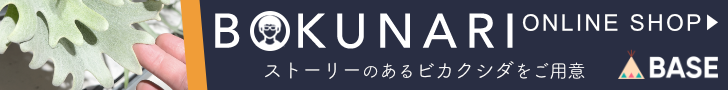 ぼくなりのビカクシダオンラインショップ