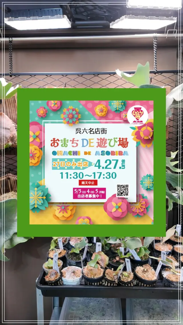 どうも〜！ビカクシダを趣味に”ゆる〜く”楽しんでいる、そのまんま美川です🎙️

静岡駅北口からほど近い呉服町エリアで開催されているマルシェ「おまち DE 遊び場」に、ビカクシダ専門店としてブースを出店させていただきます👏🏻👏🏻✨

「ビカクシダを育ててみたい」と思っている初心者の方におすすめのお手頃で育てやすい品種から、すでにビカクシダを育てている愛好家向けの品種まで、ご用意する予定です🔍🌱

ーーー

【おまち DE 遊び場】
■日にち：2025年4月27日[日]
■開催時間：11:30〜17:30
■場所：静岡市葵区呉服町通り（静岡駅北口徒歩5分・呉六名店街）
■販売内容：そのまんま美川のビカクシダコレクション
■備考：雨天中止

ーーー

こうしたイベント出店は実に4年ぶり！ 春のひととき、ぜひ足を運んでいただけましたら嬉しいです💪🏻😆

おしゃべりにいらしていただくだけでも大歓迎よ👍🏻

需要あればGWにも出店しちゃおうかしら？うふふ🥳
（↑もはや歌の仕事よりも、ビカクシダの方が忙しいアタクシ）

#ビカクシダ #静岡イベント #ぼくなりのビカクシダ  #限定販売 #そのまんま美川 #おまちde遊び場 #おまちde遊び場呉六名店街 #マルシェ